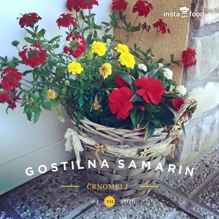Hotel Samarin Črnomelj 외부 사진